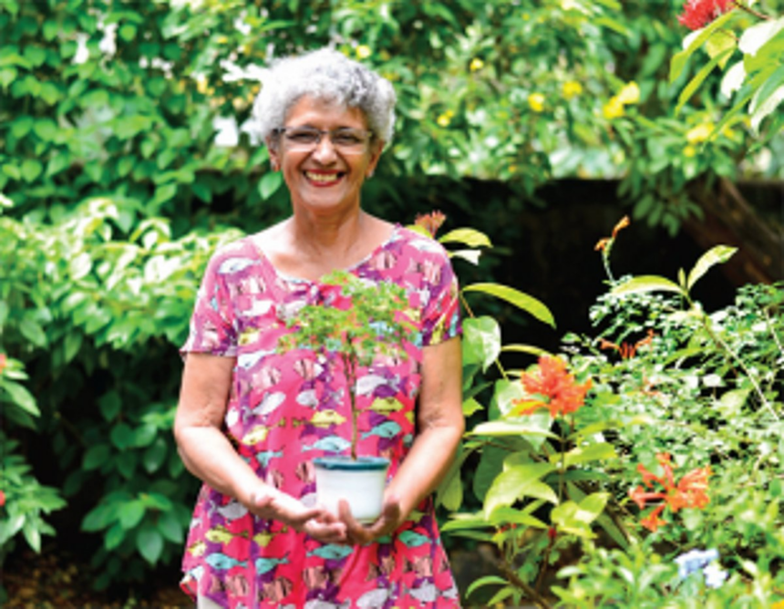 From a seed to a nourishing tree 1 From a seed to a nourishing tree