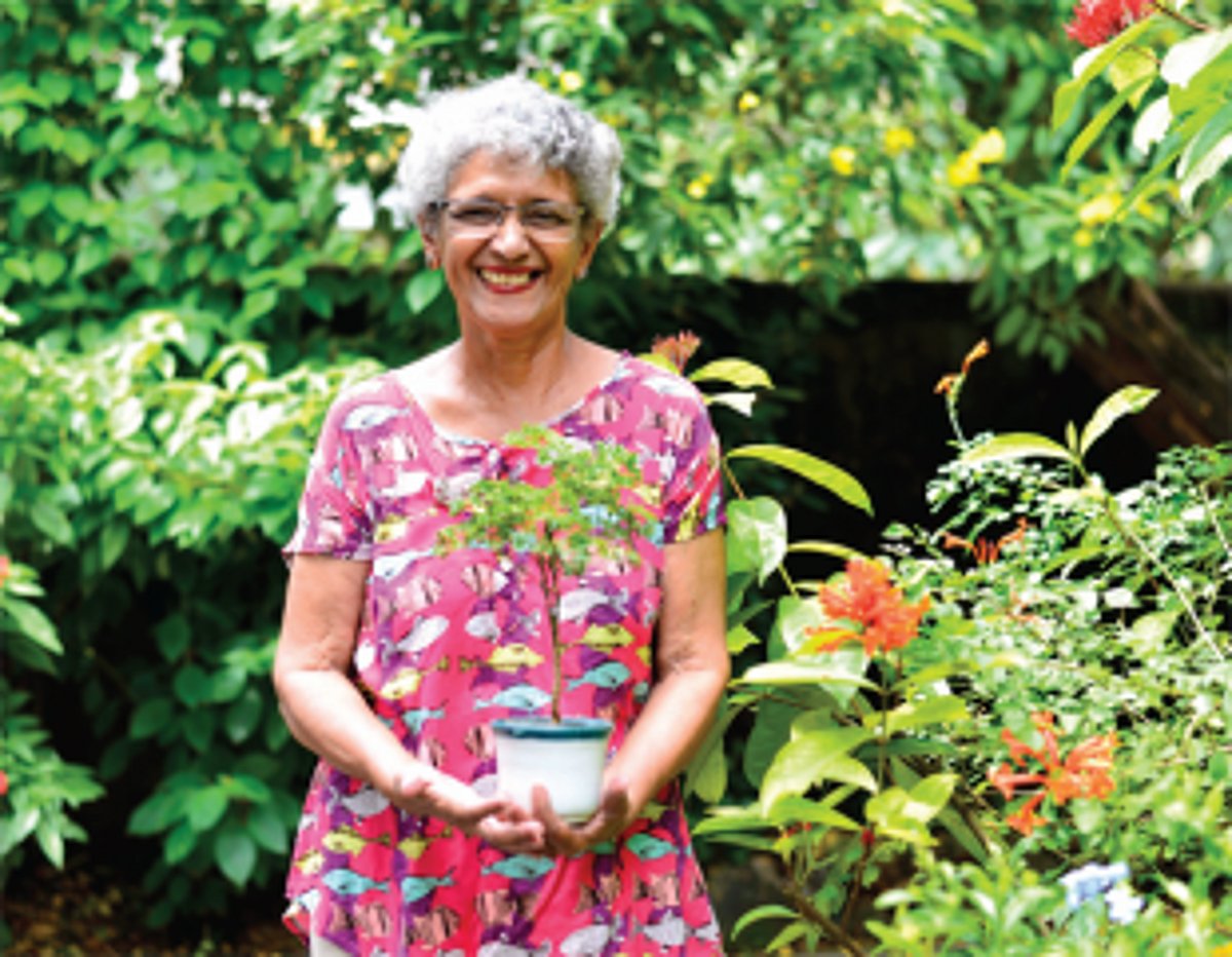 From a seed to a nourishing tree