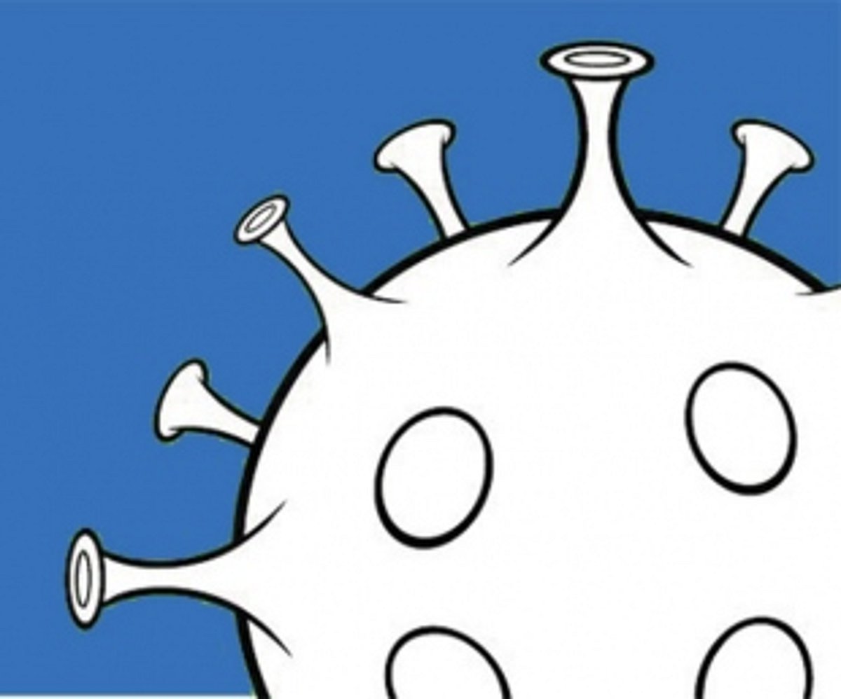 From a year of learning to a year of hope