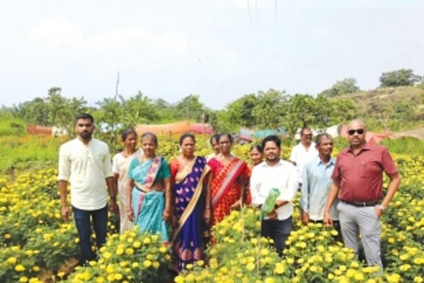 From barren to blooming: Rivona women pull off a marigold miracle