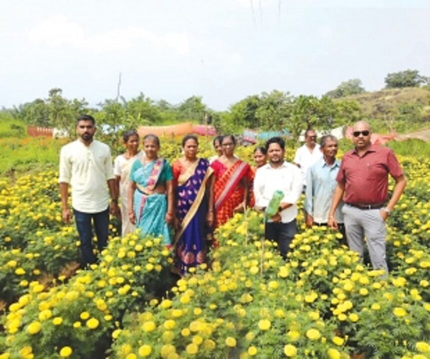 From barren to blooming: Rivona women pull off a marigold miracle 1 From barren to blooming: Rivona women pull off a marigold miracle