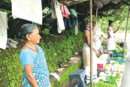 From fields to streets: Ambaulim’s senior farmers find success hawking organic bounty