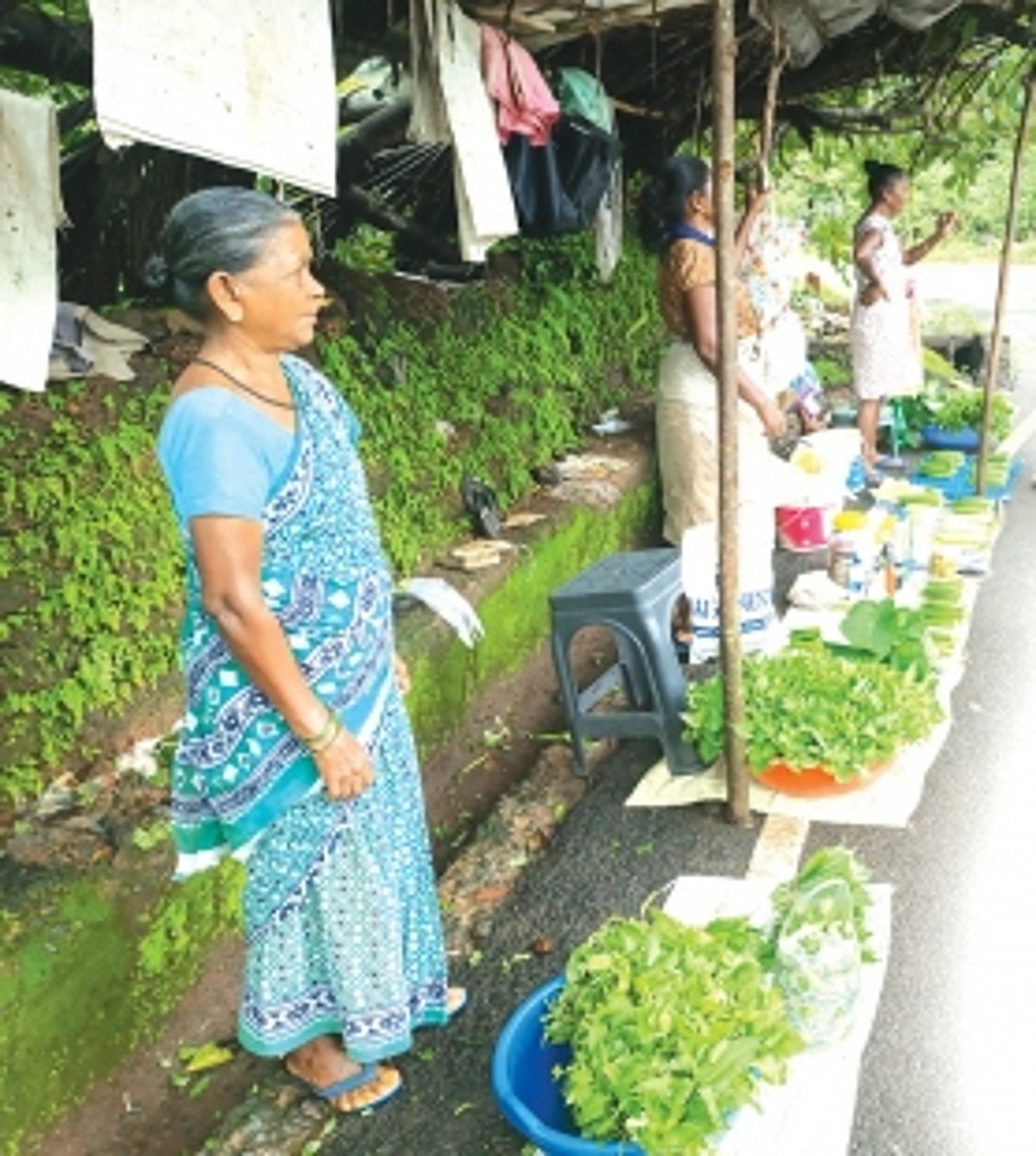 From fields to streets: Ambaulim’s senior farmers find success hawking organic bounty