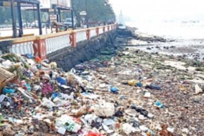 From pristine to polluted –  the sorry state of Goa’s rivers