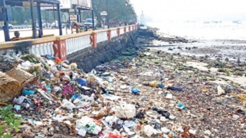 From pristine to polluted – the sorry state of Goa’s rivers 1 From pristine to polluted – the sorry state of Goa’s rivers