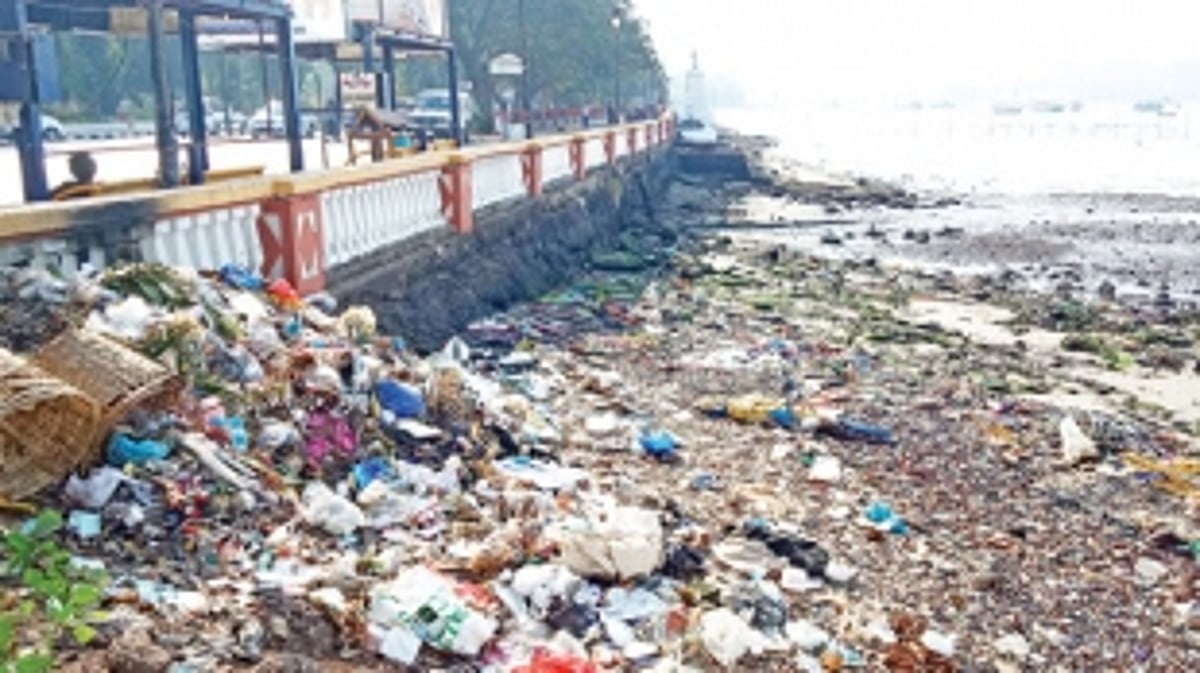 From pristine to polluted –  the sorry state of Goa’s rivers