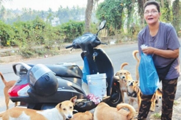 From soup to sterilisation: Virginia Simoes and her crew of unsung heroes tirelessly care for Margao’s strays