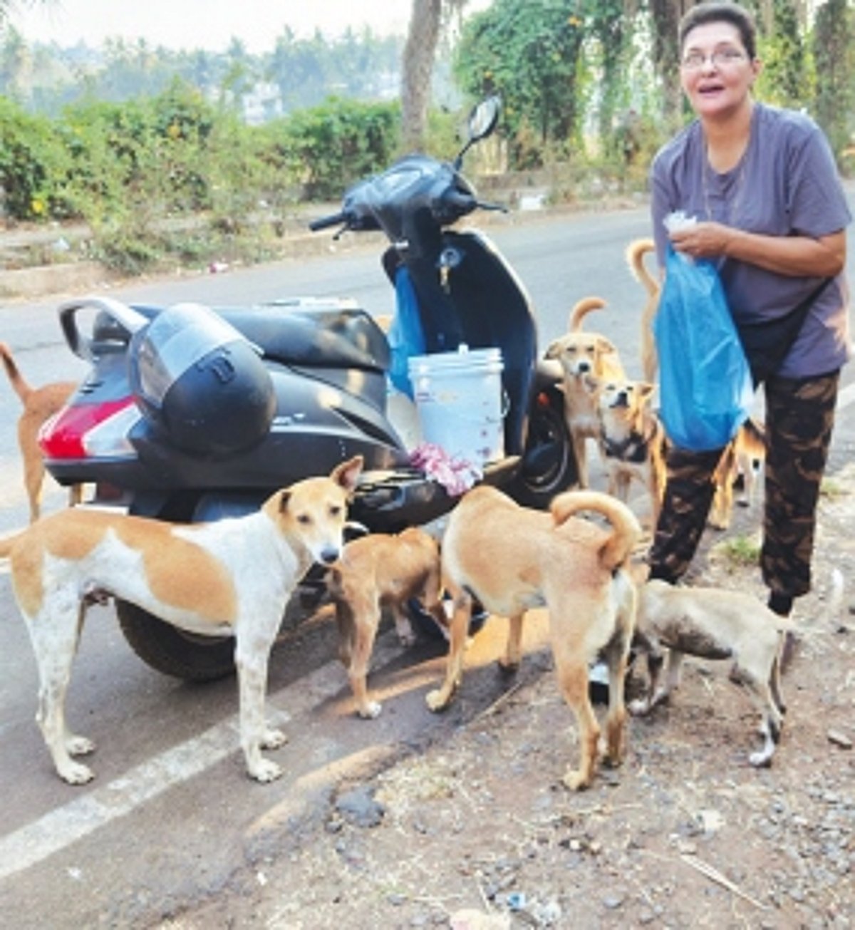 From soup to sterilisation: Virginia Simoes and her crew of unsung heroes tirelessly care for Margao’s strays