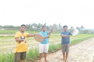 From sunrise to sunset, Sangolda’s ‘Pigeon Warriors’ defend their crops against flock attacks
