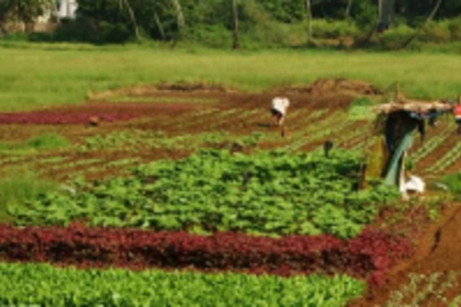 Full ownership of Alvara land  eludes Poriem constituents