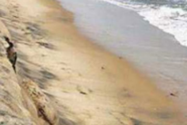 Further 6 mths sought to complete, notify CZMP