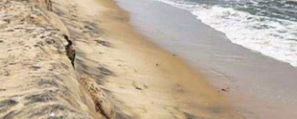Further 6 mths sought to complete, notify CZMP