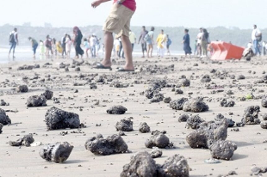 GAP slams govt’s ‘unscientific’  approach to tarballs menace