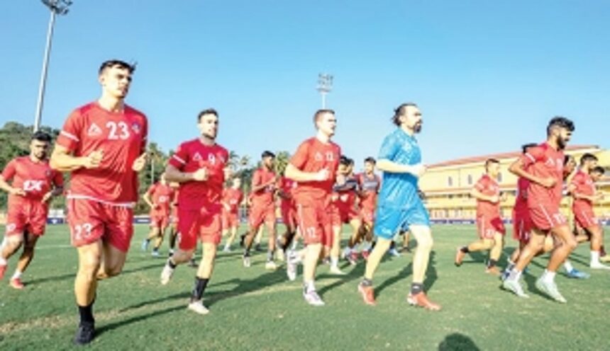 GAURS LOOKING FOR A MIRACLE