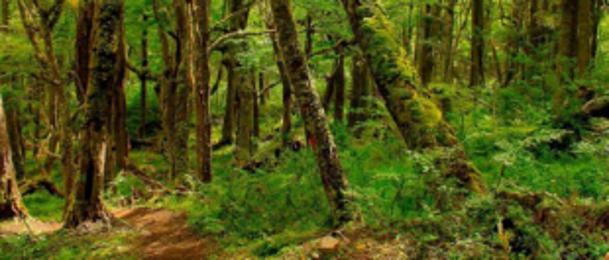GBA rejects ‘skewed’ Environment Impact Assessment 2020