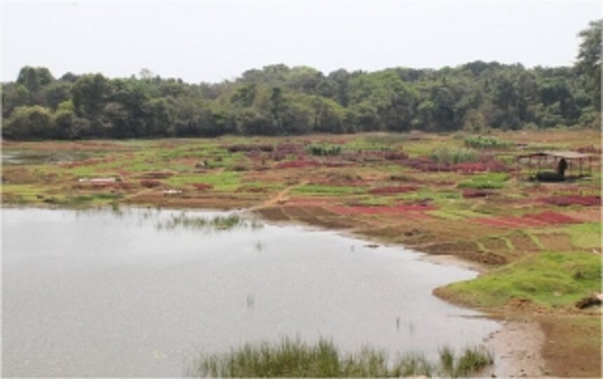 GCZMA orders restoration of encroached river land in Curtorim