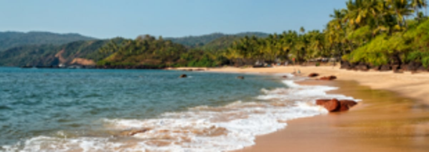 GCZMA pulled up  for ‘careless’ attitude