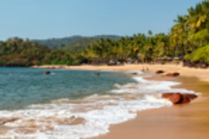 GCZMA’s ‘negligent’ attitude is ‘indirectly’ helping illegalities to continue, says NGT