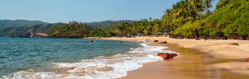 GCZMA’s ‘negligent’ attitude is ‘indirectly’ helping illegalities to continue, says NGT