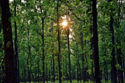 GF urges Centre to scrap  draft EIA notification 2020