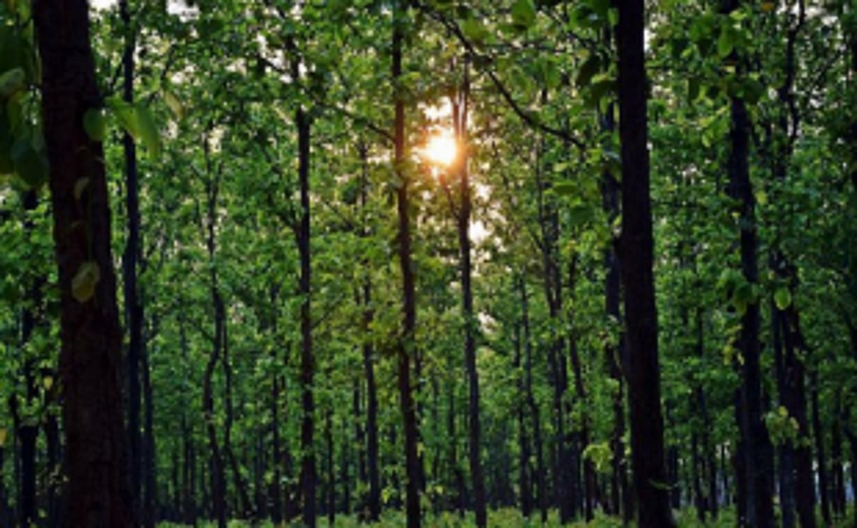 GF urges Centre to scrap  draft EIA notification 2020