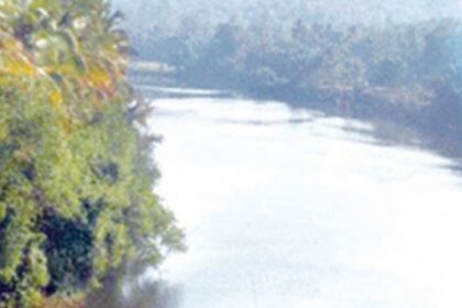 GFP apprises Governor about Mhadei river diversion concerns