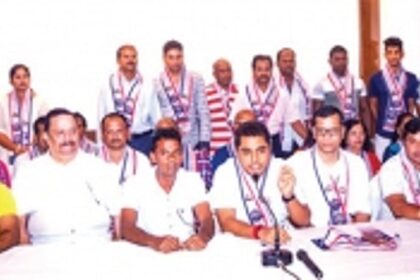 GFP growing fast as regional  party, says vice-president