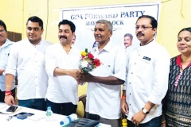 GFP will win Mayem seat with  thumping margin: Working Chief