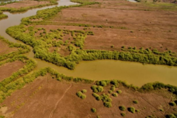 GFPK objects to proposed fast-tracking of agri land conversion