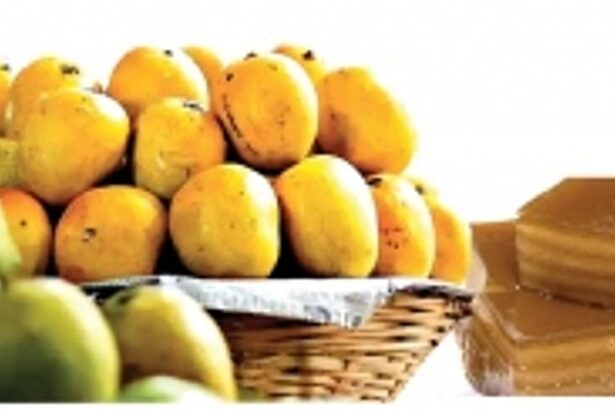 GI tag for Bebinca, Mankurad, Agsechi Vayingim & Sat Shiro Bheno