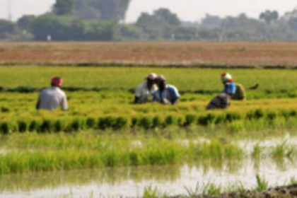 GKCC demands subsidised fuel