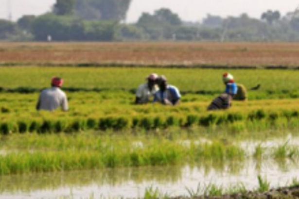 GKCC demands subsidised fuel