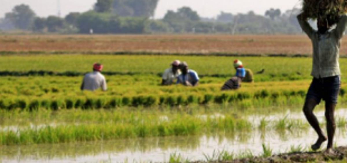 GKCC demands subsidised fuel