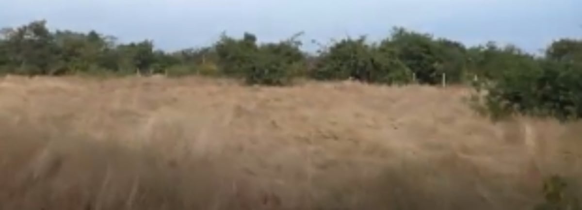 GKMA condemns arrest of agitating Pernem farmers