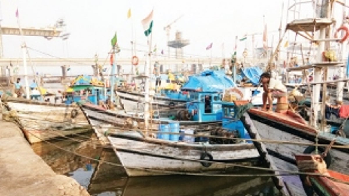 GOA MAY HAVE FISH IN THE SEA BUT NO FISHERMEN TO CATCH THEM