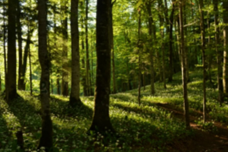 GOACAN urges GSBB to involve  local bodies to boost biodiversity