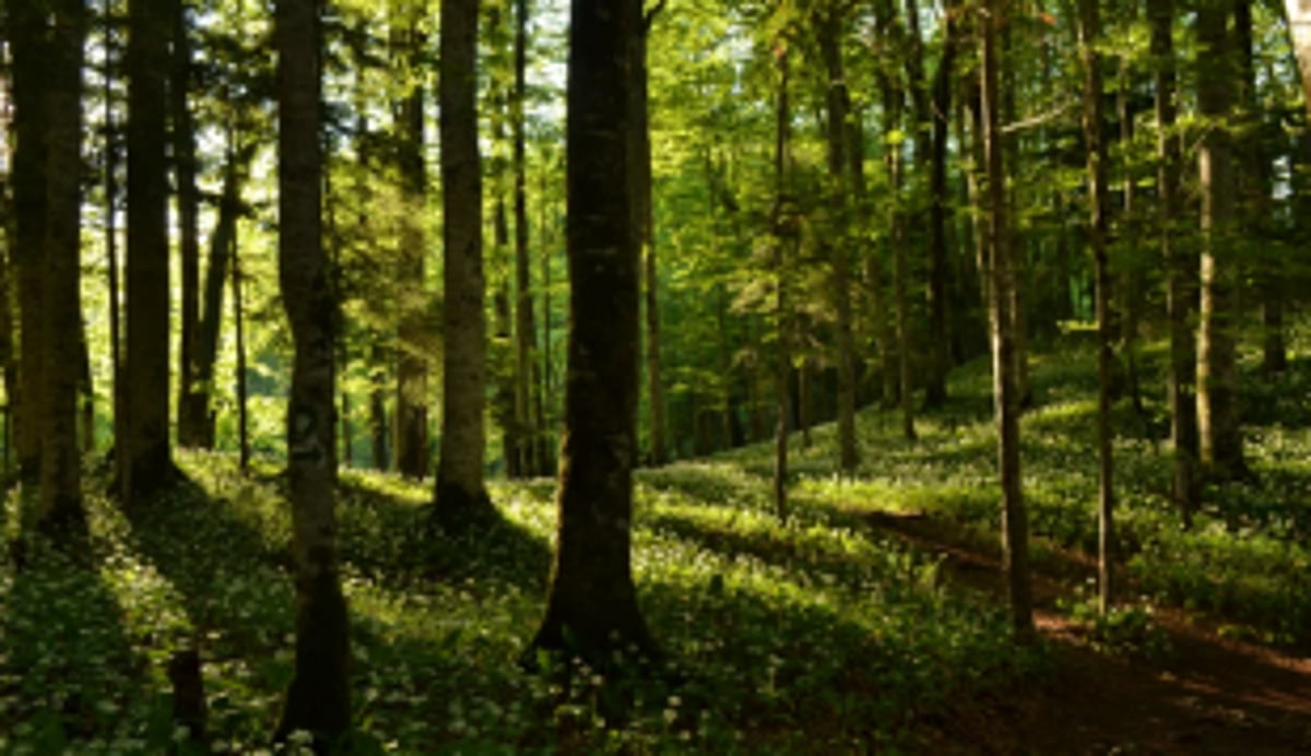 GOACAN urges GSBB to involve  local bodies to boost biodiversity