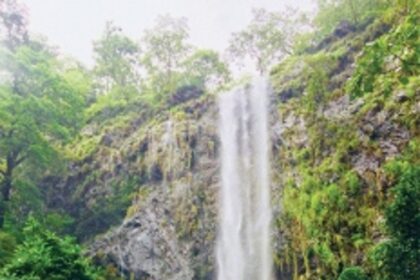 GOA’S PICNIC SPOTS TURNING INTO GARBAGE HOTSPOTS