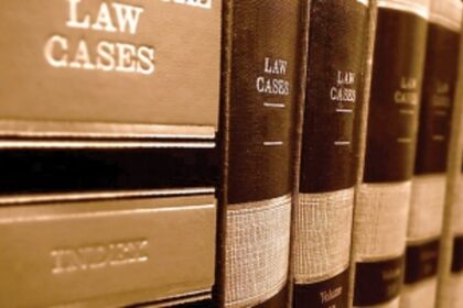 GOVT VS GOVT SERVENT : STATE ASSEMBLES TO CRACKDOWN  ON SERIAL LITIGATOR