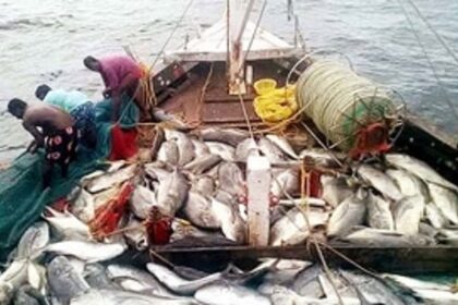 GRE demands  strict action on bull trawling