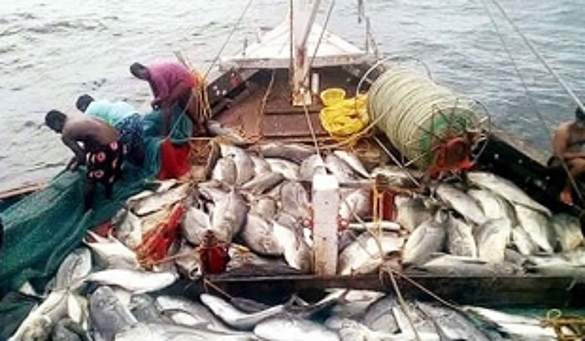 GRE demands  strict action on bull trawling