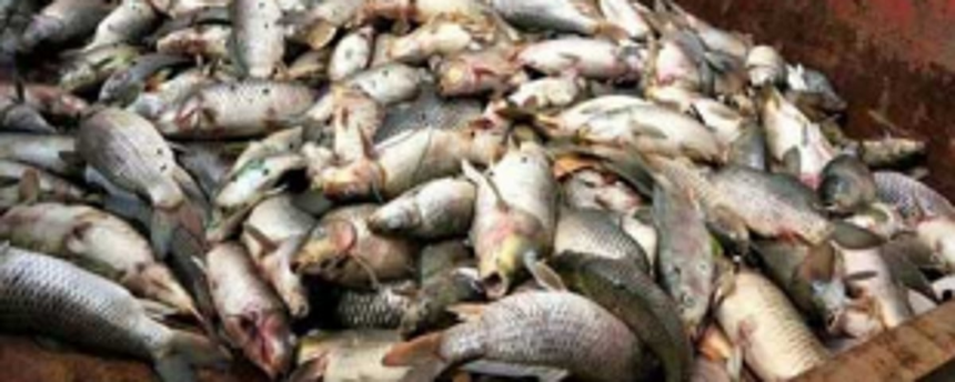 GRE says govt must support  PM’s ‘Vocal for Local’ mantra