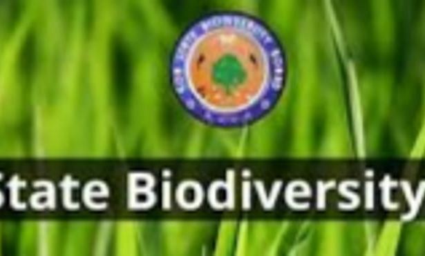 GSBB signs MoA with ICAR