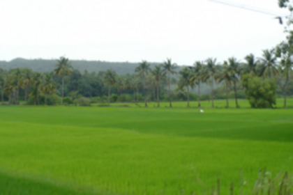 GSEAC seeks list of requirements from Centre for proposed AIIA in Pernem