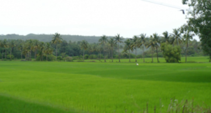 GSEAC seeks list of requirements from Centre for proposed AIIA in Pernem