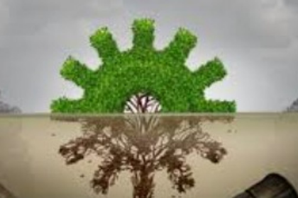 GSEIAA Halts Project by Worldwide Resorts After Complaint of Environmental Violations