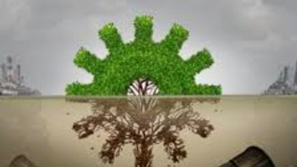 GSEIAA Halts Project by Worldwide Resorts After Complaint of Environmental Violations