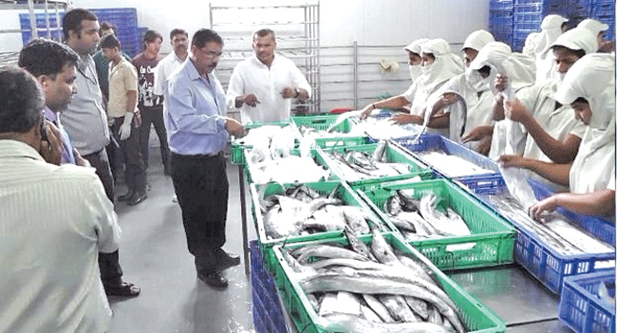 GSPCB Chairman Jose Manuel Norohna is inspecting a fish processing unit at the Cuncolim Industrial Estate.