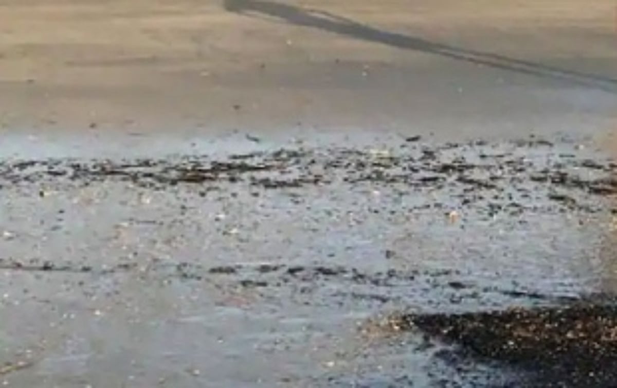 GSPCB collects ‘black’ substance found on Benaulim, Keri beaches