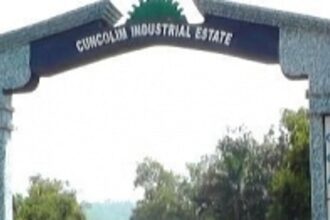GSPCB hires agency to investigate pollution in Cuncolim Ind Estate